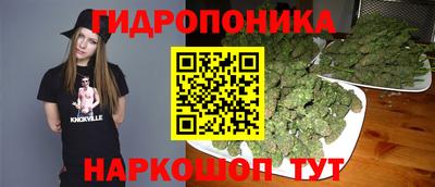 бошки Жуковский