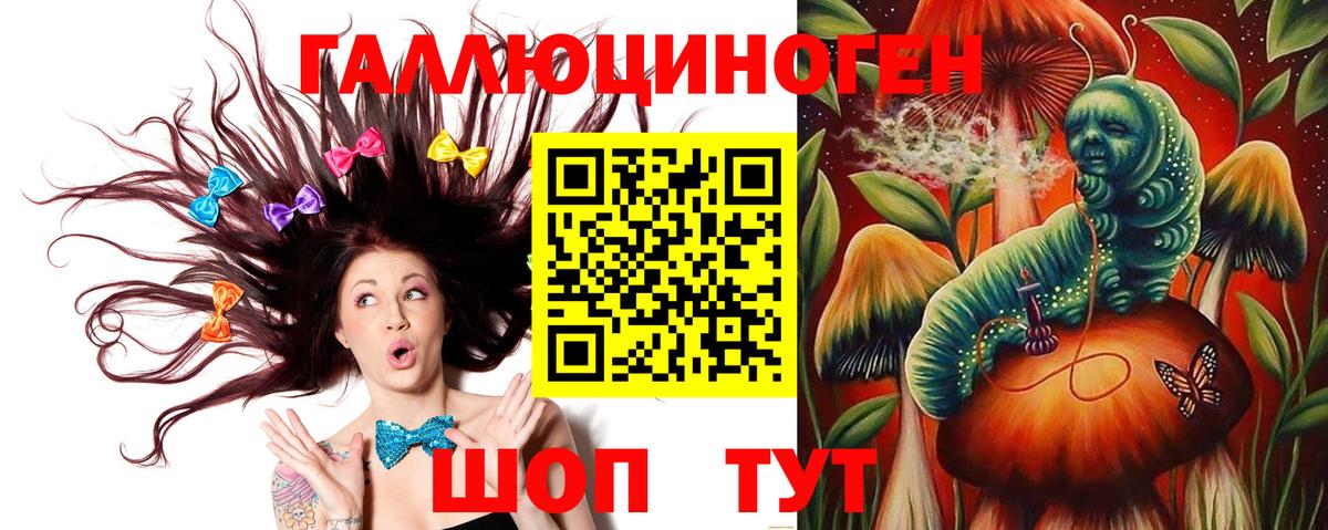 купить наркоту  Вход с VPN  Псилоцибиновые грибы GOLDEN TEACHER  Реж  Галлюциногенные грибы мицелий 
