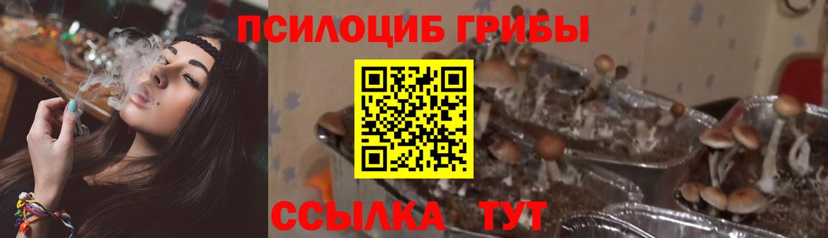Галлюциногенные грибы MAGIC MUSHROOMS Реж